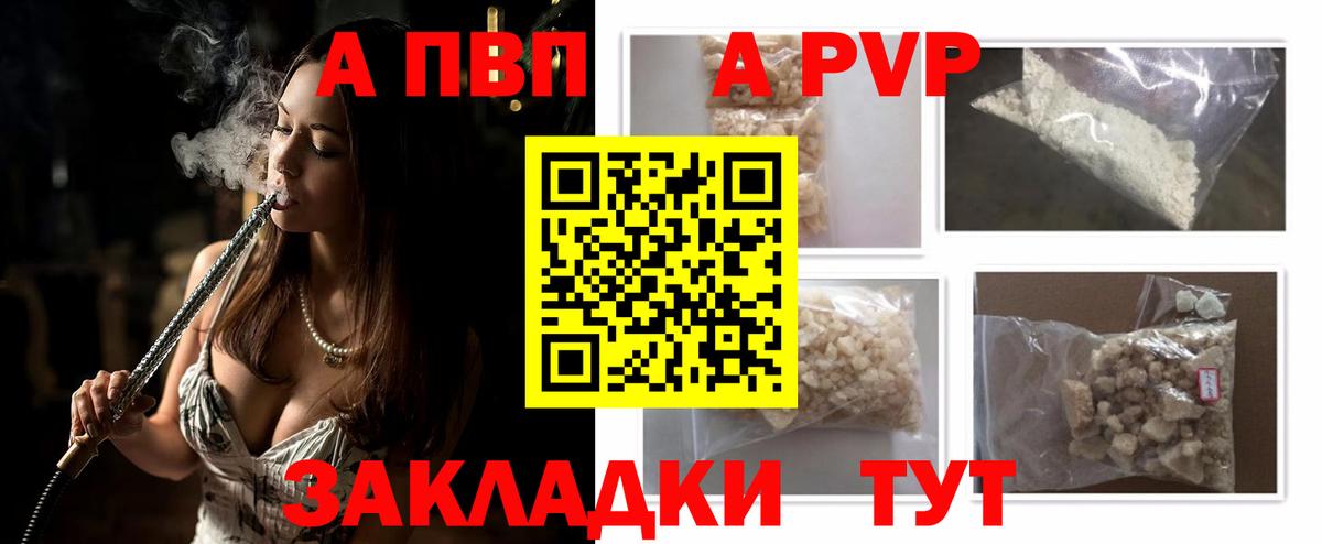 A PVP СК КРИС Новоалтайск