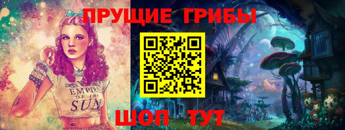 Новоалтайск  продажа наркотиков  Вход с VPN  Галлюциногенные грибы Psilocybe 